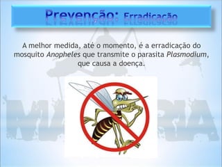 A melhor medida, até o momento, é a erradicação do
mosquito Anopheles que transmite o parasita Plasmodium,
que causa a doença.
 