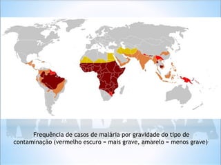 Frequência de casos de malária por gravidade do tipo de
contaminação (vermelho escuro = mais grave, amarelo = menos grave).
 