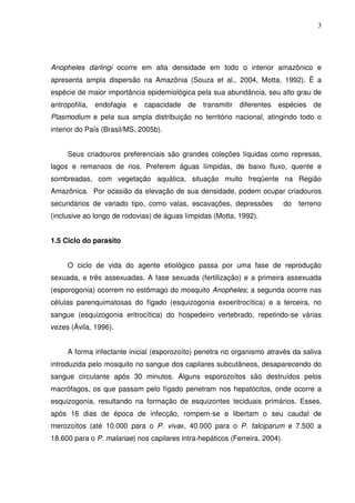 3




Anopheles darlingi ocorre em alta densidade em todo o interior amazônico e
apresenta ampla dispersão na Amazônia (Souza et al., 2004, Motta, 1992). É a
espécie de maior importância epidemiológica pela sua abundância, seu alto grau de
antropofilia, endofagia e capacidade de transmitir diferentes espécies de
Plasmodium e pela sua ampla distribuição no território nacional, atingindo todo o
interior do País (Brasil/MS, 2005b).


     Seus criadouros preferenciais são grandes coleções líquidas como represas,
lagos e remansos de rios. Preferem águas límpidas, de baixo fluxo, quente e
sombreadas, com vegetação aquática, situação muito freqüente na Região
Amazônica. Por ocasião da elevação de sua densidade, podem ocupar criadouros
secundários de variado tipo, como valas, escavações, depressões              do   terreno
(inclusive ao longo de rodovias) de águas límpidas (Motta, 1992).


1.5 Ciclo do parasito


     O ciclo de vida do agente etiológico passa por uma fase de reprodução
sexuada, e três assexuadas. A fase sexuada (fertilização) e a primeira assexuada
(esporogonia) ocorrem no estômago do mosquito Anopheles; a segunda ocorre nas
células parenquimatosas do fígado (esquizogonia exoeritrocítica) e a terceira, no
sangue (esquizogonia eritrocítica) do hospedeiro vertebrado, repetindo-se várias
vezes (Ávila, 1996).


     A forma infectante inicial (esporozoíto) penetra no organismo através da saliva
introduzida pelo mosquito no sangue dos capilares subcutâneos, desaparecendo do
sangue circulante após 30 minutos. Alguns esporozoítos são destruídos pelos
macrófagos, os que passam pelo fígado penetram nos hepatócitos, onde ocorre a
esquizogonia, resultando na formação de esquizontes teciduais primários. Esses,
após 16 dias de época de infecção, rompem-se e libertam o seu caudal de
merozoítos (até 10.000 para o P. vivax, 40.000 para o P. falciparum e 7.500 a
18.600 para o P. malariae) nos capilares intra-hepáticos (Ferreira, 2004).
 
