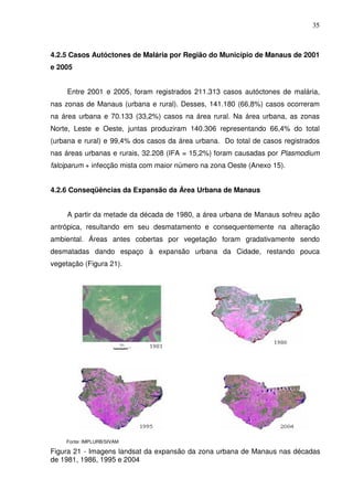 35



4.2.5 Casos Autóctones de Malária por Região do Município de Manaus de 2001
e 2005


     Entre 2001 e 2005, foram registrados 211.313 casos autóctones de malária,
nas zonas de Manaus (urbana e rural). Desses, 141.180 (66,8%) casos ocorreram
na área urbana e 70.133 (33,2%) casos na área rural. Na área urbana, as zonas
Norte, Leste e Oeste, juntas produziram 140.306 representando 66,4% do total
(urbana e rural) e 99,4% dos casos da área urbana. Do total de casos registrados
nas áreas urbanas e rurais, 32.208 (IFA = 15,2%) foram causadas por Plasmodium
falciparum + infecção mista com maior número na zona Oeste (Anexo 15).


4.2.6 Conseqüências da Expansão da Área Urbana de Manaus


     A partir da metade da década de 1980, a área urbana de Manaus sofreu ação
antrópica, resultando em seu desmatamento e consequentemente na alteração
ambiental. Áreas antes cobertas por vegetação foram gradativamente sendo
desmatadas dando espaço à expansão urbana da Cidade, restando pouca
vegetação (Figura 21).




    Fonte: IMPLURB/SIVAM

Figura 21 - Imagens landsat da expansão da zona urbana de Manaus nas décadas
de 1981, 1986, 1995 e 2004
 