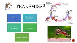 Vetorial
Transfusão
sanguínea
Compartilhamento
de seringas
Acidentes de
laboratório
Malária congênita
 