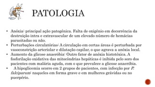• Anóxia: principal ação patogênica. Falta de oxigênio em decorrência da
destruição intra e extravascular de um elevado número de hemácias
parasitadas ou não.
• Perturbações circulatórias: A circulação em certas áreas é perturbada por
vasoconstrição arteriolar e dilatação capilar, o que agrava a anóxia local.
• Aumento da glicose anaeróbia: Outro fator de anóxia histotóxica. A
fosforilação oxidativa das mitocôndrias hepáticas é inibida pelo soro dos
pacientes com malária aguda, com o que prevalece a glicose anaeróbia.
• A hipoglicemia ocorro em 2 grupos de pacientes, com infecção por P.
falciparum: naqueles em forma grave e em mulheres grávidas ou no
puerpério.
 