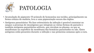 • Acumulação de pigmento: O acúmulo de hemozoína nos tecidos, principalmente na
forma crônica da malária, leva a uma pigmentação escura dos órgãos.
• Antígenos parasitários: Na fase eritrocitária da infecção é possível constatar no
sangue a presença de imunógenos que integram as várias formas do parasito e
também antígenos parasitários solúveis, que circulam no plasma, ou que se
manifestam na superfície da membrana das hemácias parasitadas ou não. Estes
antígenos estão presentes durante a infecção e nas primeiras semanas após a cura.
 