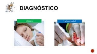 Clínico Laboratorial
 