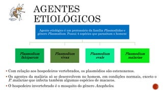 Agente etiológico é um protozoário da família Plasmodiidae e
gênero Plasmodium. Possui 4 espécies que parasitam o homem:
Plasmodium
falciparum
Plasmodium
vivax
Plasmodium
ovale
Plasmodium
malariae
 Com relação aos hospedeiros vertebrados, os plasmódios são estenoxenos.
 Os agentes da malária só se desenvolvem no homem, em condições normais, exceto o
P. malariae que infecta também algumas espécies de macacos.
 O hospedeiro invertebrado é o mosquito do gênero Anopheles.
 