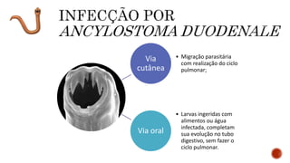 Via
cutânea
• Migração parasitária
com realização do ciclo
pulmonar;
Via oral
• Larvas ingeridas com
alimentos ou água
infectada, completam
sua evolução no tubo
digestivo, sem fazer o
ciclo pulmonar.
 
