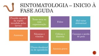 Prurido na pele
da região
invadida pelas
larvas;
Tosse seca ou
com
expectoração
Febre
Mal-estar
abdominal
Anorexia
Náuseas e
vômitos
Cólicas e
diarreia
Cansaço e perda
de peso
Úlcera duodenal
ou de apendicite Anemia grave
 