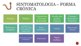 Anemia Palidez
Conjuntivas
e mucosas
descoradas
Atrofia das
papilas
linguais
Cansaço,
desânimo e
fraqueza;
Tonturas e
vertigens;
Zumbidos nos
ouvidos e percepção
de manchas no
campo visual;
Dores
musculares
Cefaleia
Hipertensão
arterial
Diminuição do libido
e impotência;
Palpitações
Sopro
cardíaco
 