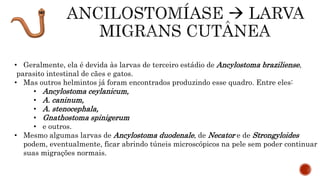 • Geralmente, ela é devida às larvas de terceiro estádio de Ancylostoma braziliense,
parasito intestinal de cães e gatos.
• Mas outros helmintos já foram encontrados produzindo esse quadro. Entre eles:
• Ancylostoma ceylanicum,
• A. caninum,
• A. stenocephala,
• Gnathostoma spinigerum
• e outros.
• Mesmo algumas larvas de Ancylostoma duodenale, de Necator e de Strongyloides
podem, eventualmente, ficar abrindo túneis microscópicos na pele sem poder continuar
suas migrações normais.
 