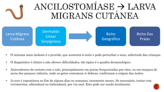 Larva Migrans
Cutânea
Dermatite
Linear
Serpiginosa
Bicho
Geográfico
Bicho Das
Praias
• O sintoma mais molesto é o prurido, que aumenta à noite e pode perturbar o sono, sobretudo das crianças.
• O diagnóstico é clínico e não oferece dificuldades, tão típico é o quadro dermatológico.
• Antecedentes de contato com o solo, principalmente em praias frequentadas por cães, ou em tanques de
areia dos parques infantis, onde os gatos costumam ir defecar, confirmam a origem das lesões.
• A cura é espontânea ao fim de alguns dias ou semanas; raramente meses. Se necessário, tratar com
ivermectina, albendazol ou tiabendazol, por via oral. Este pode ser usado localmente.
 