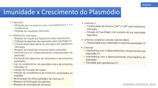 Imunidade x Crescimento do Plasmódio
Malária
VERONESI-FOCACCIA, 2010.
 