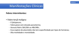 Febres Intermitentes:
• Febre terçã maligna:
- P. falciparum;
- Febre grave com elevada parasitemia;
- Acessos febris 36h/36h ou 48h/48h;
- Essa espécie de plasmódio não tem especificidade por tipos de hemácias;
- Alta morbidade e mortalidade.
Manifestações Clínicas
Malária
 