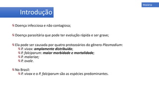 Introdução
Doença infecciosa e não contagiosa;
Doença parasitária que pode ter evolução rápida e ser grave;
Ela pode ser causada por quatro protozoários do gênero Plasmodium:
P. vivax: amplamente distribuído;
P. falciparum: maior morbidade e mortalidade;
P. malariae;
P. ovale.
No Brasil:
P. vivax e o P. falciparum são as espécies predominantes.
Malária
 