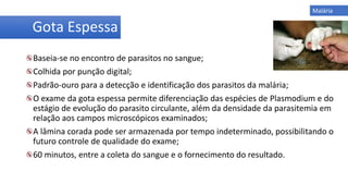 Baseia-se no encontro de parasitos no sangue;
Colhida por punção digital;
Padrão-ouro para a detecção e identificação dos parasitos da malária;
O exame da gota espessa permite diferenciação das espécies de Plasmodium e do
estágio de evolução do parasito circulante, além da densidade da parasitemia em
relação aos campos microscópicos examinados;
A lâmina corada pode ser armazenada por tempo indeterminado, possibilitando o
futuro controle de qualidade do exame;
60 minutos, entre a coleta do sangue e o fornecimento do resultado.
Gota Espessa
Malária
 