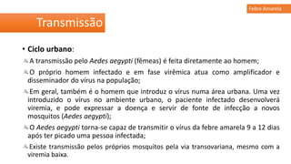• Ciclo urbano:
A transmissão pelo Aedes aegypti (fêmeas) é feita diretamente ao homem;
O próprio homem infectado e em fase virêmica atua como amplificador e
disseminador do vírus na população;
Em geral, também é o homem que introduz o vírus numa área urbana. Uma vez
introduzido o vírus no ambiente urbano, o paciente infectado desenvolverá
viremia, e pode expressar a doença e servir de fonte de infecção a novos
mosquitos (Aedes aegypti);
O Aedes aegypti torna-se capaz de transmitir o vírus da febre amarela 9 a 12 dias
após ter picado uma pessoa infectada;
Existe transmissão pelos próprios mosquitos pela via transovariana, mesmo com a
viremia baixa.
Transmissão
Febre Amarela
 