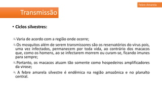• Ciclos silvestres:
Varia de acordo com a região onde ocorre;
Os mosquitos além de serem transmissores são os reservatórios do vírus pois,
uma vez infectados, permanecem por toda vida, ao contrário dos macacos
que, como os homens, ao se infectarem morrem ou curam-se, ficando imunes
para sempre;
Portanto, os macacos atuam tão somente como hospedeiros amplificadores
da virose;
A febre amarela silvestre é endêmica na região amazônica e no planalto
central.
Transmissão
Febre Amarela
 