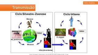Transmissão
Febre Amarela
http://images.slideplayer.com.br/8/1871647/slides/slide_4.jpg
 