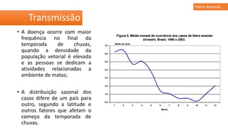 • A doença ocorre com maior
frequência no final da
temporada de chuvas,
quando a densidade da
população vetorial é elevada
e as pessoas se dedicam a
atividades relacionadas a
ambiente de matas;
• A distribuição sazonal dos
casos difere de um país para
outro, segundo a latitude e
outros fatores que afetam o
começo da temporada de
chuvas.
Transmissão
Febre Amarela
 