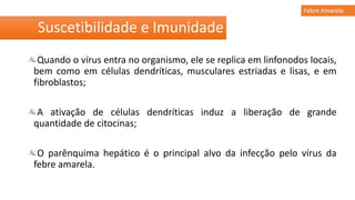 Quando o vírus entra no organismo, ele se replica em linfonodos locais,
bem como em células dendríticas, musculares estriadas e lisas, e em
fibroblastos;
A ativação de células dendríticas induz a liberação de grande
quantidade de citocinas;
O parênquima hepático é o principal alvo da infecção pelo vírus da
febre amarela.
Suscetibilidade e Imunidade
Febre Amarela
 