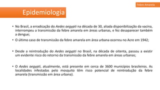 • No Brasil, a erradicação do Aedes aegypti na década de 30, aliada disponibilização da vacina,
interrompeu a transmissão da febre amarela em áreas urbanas, e fez desaparecer também
a dengue;
• O último caso de transmissão da febre amarela em área urbana ocorreu no Acre em 1942;
• Desde a reintrodução do Aedes aegypti no Brasil, na década de oitenta, passou a existir
um evidente risco do retorno da transmissão da febre amarela em áreas urbanas;
• O Aedes aegypti, atualmente, está presente em cerca de 3600 municípios brasileiros. As
localidades infestadas pelo mosquito têm risco potencial de reintrodução da febre
amarela (transmissão em área urbana).
Epidemiologia
Febre Amarela
 