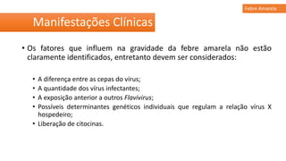 • Os fatores que influem na gravidade da febre amarela não estão
claramente identificados, entretanto devem ser considerados:
• A diferença entre as cepas do vírus;
• A quantidade dos vírus infectantes;
• A exposição anterior a outros Flavivirus;
• Possíveis determinantes genéticos individuais que regulam a relação vírus X
hospedeiro;
• Liberação de citocinas.
Manifestações Clínicas
Febre Amarela
 