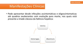 • Pode apresentar desde infecções assintomáticas e oligossintomaticas
até quadros exuberantes com evolução para morte, nos quais está
presente a tríade clássica da falência hepática:
Manifestações Clínicas
Febre Amarela
Icterícia
AlbuminuriaHemorragias
 