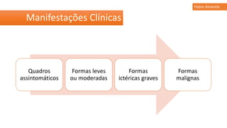 Manifestações Clínicas
Febre Amarela
Quadros
assintomáticos
Formas leves
ou moderadas
Formas
ictéricas graves
Formas
malignas
 