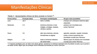 Manifestações Clínicas
Febre Amarela
 