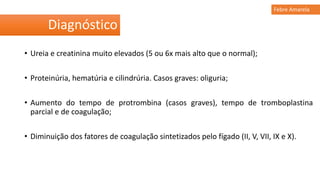 • Ureia e creatinina muito elevados (5 ou 6x mais alto que o normal);
• Proteinúria, hematúria e cilindrúria. Casos graves: oliguria;
• Aumento do tempo de protrombina (casos graves), tempo de tromboplastina
parcial e de coagulação;
• Diminuição dos fatores de coagulação sintetizados pelo fígado (II, V, VII, IX e X).
Diagnóstico
Febre Amarela
 