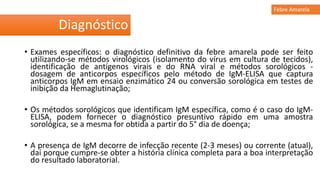• Exames específicos: o diagnóstico definitivo da febre amarela pode ser feito
utilizando-se métodos virológicos (isolamento do vírus em cultura de tecidos),
identificação de antígenos virais e do RNA viral e métodos sorológicos -
dosagem de anticorpos específicos pelo método de IgM-ELISA que captura
anticorpos IgM em ensaio enzimático 24 ou conversão sorológica em testes de
inibição da Hemaglutinação;
• Os métodos sorológicos que identificam IgM específica, como é o caso do IgM-
ELISA, podem fornecer o diagnóstico presuntivo rápido em uma amostra
sorológica, se a mesma for obtida a partir do 5° dia de doença;
• A presença de IgM decorre de infecção recente (2-3 meses) ou corrente (atual),
daí porque cumpre-se obter a história clínica completa para a boa interpretação
do resultado laboratorial.
Diagnóstico
Febre Amarela
 