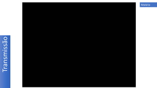 Transmissão Malária
 