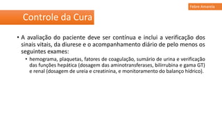 • A avaliação do paciente deve ser contínua e inclui a verificação dos
sinais vitais, da diurese e o acompanhamento diário de pelo menos os
seguintes exames:
• hemograma, plaquetas, fatores de coagulação, sumário de urina e verificação
das funções hepática (dosagem das aminotransferases, bilirrubina e gama GT)
e renal (dosagem de ureia e creatinina, e monitoramento do balanço hídrico).
Controle da Cura
Febre Amarela
 