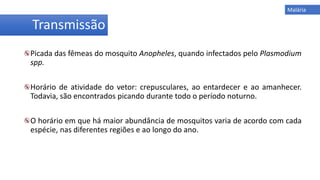 Transmissão
Picada das fêmeas do mosquito Anopheles, quando infectados pelo Plasmodium
spp.
Horário de atividade do vetor: crepusculares, ao entardecer e ao amanhecer.
Todavia, são encontrados picando durante todo o período noturno.
O horário em que há maior abundância de mosquitos varia de acordo com cada
espécie, nas diferentes regiões e ao longo do ano.
Malária
 