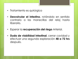 •Tratamiento es quirúrgico 
•Desvolvular el intestino, rotándolo en sentido contrario a las manecillas del reloj hasta liberarlo. 
•Esperar la recuperación del riego Arterial. 
•Duda de viabilidad intestinal, cerrar cavidad y efectuar una segunda exploración 48 a 72 hrs después.  