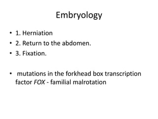 Embryology
• 1. Herniation
• 2. Return to the abdomen.
• 3. Fixation.
• mutations in the forkhead box transcription
factor FOX - familial malrotation
 