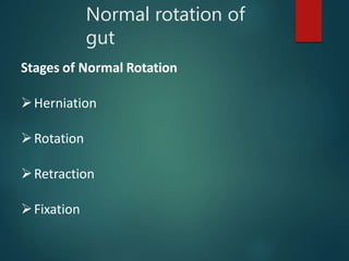Normal rotation of
gut
Stages of Normal Rotation
Herniation
Rotation
Retraction
Fixation
 
