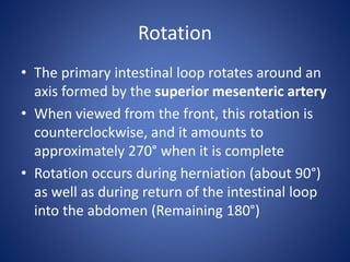 Acute Full Rotation Malrotation of gut | PPTX