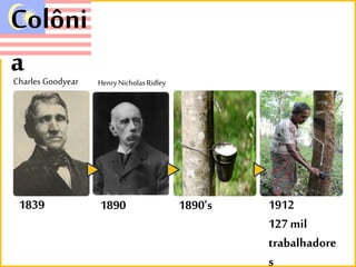 Colôni 
a 
Charles Goodyear Henry Nicholas Ridley 
1839 1890 1890’s 1912 
127 mil 
trabalhadore 
s 
 