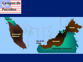 Campos de 
Petróleo 
 