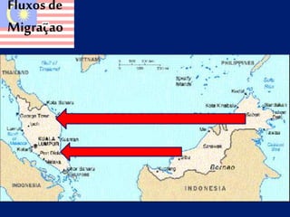 Fluxos de 
Migraçao 
 