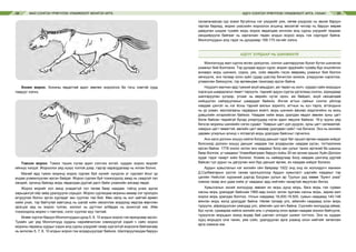 МАЛ СОНГОН ҮРЖҮҮЛЭХ УЛАМЖЛАЛТ МОНГОЛ АРГА АДУУ СОНГОН ҮРЖҮҮЛЭХ УЛАМЖЛАЛТ АРГА, УХААН34 35
Хонин жороо. Хонины явдалтай адил зөөлөн жороолох ба тэгш хэмтэй хурд
таарууг хэлнэ.
Тэмээн жороо. Тэмээ тэших лугаа адил сэгсчээ ихтэй, хурдан жороо морийг
ийнхүү хэлдэг. Жороолох үед хүзүү толгой дээр, гэдгэр харагддагаар нь ялгаж болно.
Манай ард түмэн моринд жороо сургаж буй хүнийг хүндлэх үг сургаал ёсыг үр
ачдаа уламжлуулан ирсэн байдаг. Жороо сургаж буй тохиолдолд замд нь саадгүй тал
хөндий, орчинд байхад морь явдалдаа дуртай дасч байж унаачийн аясаар явдаг.
Жороо морийг хол аянд унадаггүй гол төлөв баяр наадам, гоёлд унаж эдлэх
харьцангуй ойр зайд уралдуулж сорьдог. Жороо сургахдаа морины амаар хэт оролдон
агсруулах болон эргээ хургадаг зан суулгах гэм бий. Мөн хөлд нь хол зайтай өрөөл
хийж унах, тэр байтугай хавтсанд нь шагай хийн эмээллэж мордоод явдлаа өөрчлөн
эрэгцэх үед нь жороо тулгах, жолоог нь дугтчин албадах нь зохисгүй юм. Ийм
тохиолдолд морио ч гэмтээж, согог суулгах муу талтай.
Өнөөг хүртэл баруун Монголчуудын дунд 5, 8, 10 алдын жороо гэж яригдсаар ирсэн.
Тухайн цаг үед Монголчууд хурдны нарийвчилсан хэмжүүргүй хэдий ч сайн жороо
морины гарааны хурдыг хэдэн алд сурны үзүүрийг газар хүргэлгүй жороолж байгаагаар
нь ангилан 5, 7, 8, 10 алдын жороо гэж алдаршуулдаг байжээ. Шалгаруулахдаа баруун
ганзаганаасаа сур эсвэл бугуйлны нэг үзүүрийг уяж, нөгөө үзүүрээс нь эвхэж баруун
гартаа бариад, морио ухасхийн жороолох агшинд эвхээтэй чигээр нь баруун мөрөө
давуулан шидэж тухайн морь жороо явдалдаа хичнээн алд сурны үзүүрийг газраас
хөндийрүүлж байгааг нь харгалзан төдөн алдын жороо морь гэж нэрлэдэг байна.
Монголчуудын алд гэдэг нь дунджаар 168-175 см-ийг хэлнэ.
АДУУГ ХУРДААР НЬ ШИНЖИХҮЙ
Монголчууд мал сүргээ өсгөн үржүүлэх, сонгон шалгаруулах бүхэл бүтэн шинжлэх
ухааныг бий болгожээ. Тэр дундаа адуун сүрэг, морин эрдэнийн тухайд бүр онцгойлон
анхаарч морь шинжих, сорих, уях, сойх өөрийн гэсэн өвөрмөц ухааныг бий болгон
хөгжүүлж, энэ талаар олон зүйл судар шастир бичиглэн зохиож, улируулан хэрэглэж,
уламжлан баяжуулж, гэр өргөөндөө тахисаар ирсэн байна.
Нүүдэлч малчин ард түмний ахуй амьдрал, аж төрөл нь холч, хурдан сайн морьдын
хэрэгцээ шаардлагыг ямагт төрүүлж, тэднийг адуун сүргээ үргэлжид сонгон, зориудаар
шалгаруулан үүлдэр, угсааг нь өөрийн нутаг орон, аж байдал, ахуй нөхцөлдөө
нийцүүлэн сайжруулахыг шаарддаг байжээ. Ингэж агтын сайныг сонгох үйлсэд
наадам цэнгэл нь нэг ёсны тэдний ажлын зорилго, агтных нь хүч тарга, агтачдынх
нь ур ухаан, маллагааны чадварын өсөлт, морь шинжих авъяас мэдлэгийнх нь ахиц
дэвшлийн илэрхийлэл байжээ. Наадам хийж морь уралдах явдал зөвхөн зуны цагт
болж байсан төдийгүй бусад улирлуудад нэгэн адил явуулж байжээ. 16-р зууны үед
бичсэн морины шинжийн нэгэн сударт “Хаврын цагт дэл дүүрэн, зуны цагт салмаатай,
намрын цагт чөмөгтэй, өвлийн цагт өөхөөр уралдвал сайн” гэж бичжээ. Энэ нь жилийн
дөрвөн улирлын алинд ч ялгаагүй морь уралдаж байсныг гэрчилнэ.
Анх халх долоон хошуу нийлж Богдод даншиг гэдэг бат оршил өргөж наадам хийдэг
болсноор долоон хошуу даншиг наадам гэж алдаршсан наадам үүсэн, тогтмолжиж
ирсэн байна. 1778 оноос эхлэн энэ наадмыг Богд хан уулыг тахих иргэний ба шашны
баяр болгож, уг наадмыг Улаанбаатраас баруун хойш 30 км орчим орших Хүйн Долоон
худаг гэдэг газарт хийх болжээ. Хожим нь наймдугаар Богд наадам цэнгэлд дуртай
байсан тул дурыг нь дагуулан жил бүр даншиг өргөж, их наадам хийдэг болжээ.
Ардын хувьсгалын нэг жилийн ойн баяраар 1922 онд онд их жолоодогч жанжин
Д.Сүхбаатарын үүсгэл санаа оролцоогоор Ардын хувьсгалт цэргийн наадмыг тэр
цагийн Нийслэл хүрээний дэргэд Богдхан уулын ар Туулын урд хөвөө “Буянт ухаа”
хэмээх газар анх удаа хийж уг наадмыг ард нийтийн чанартай явуулсан билээ.
Хувьсгалын эхний жилүүдэд зөвхөн их морь дунд морь, бага морь гэж гурван
насны морь уралддаг байснаа 1960-аад оноос эхлэн зургаан насны морь, зарим жил
жороо морь уралдах боллоо. Улсын наадамд 18,000-19,500, сумын наадамд 140-146
мянган морь жилд уралддаг байна. Нөгөө талаар улс, аймгийн наадамд олон морь
түрүүлж, айрагдуулсан уяачдад улс, аймгийн цол өгч байна. Сүүлийн жилүүдэд аймаг,
бүс нутаг, сумаараа нийлж жилийн аль ч улиралд олон арван наадам зохион байгуулж,
түрүүлсэн морьдын эзэнд өндөр бай шагнал олгодог шижиг тогтлоо. Энэ нь хурдан
хурц морьдоо олж таних, уяж сойх, уралдуулах арга ухаанд олон нийтийг хөтөлсөн
арга хэмжээ юм.
 