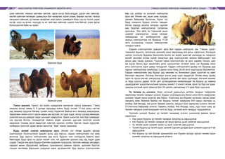 МАЛ СОНГОН ҮРЖҮҮЛЭХ УЛАМЖЛАЛТ МОНГОЛ АРГА ТЭМЭЭ СОНГОН ҮРЖҮҮЛЭХ УЛАМЖЛАЛТ АРГА, УХААН64 65
шим сайнтай, номхон дөлгөөн зантай, тарга хүчээ бага алддаг, дэлэн хөх сайнтай,
жилбэ сайнтай төллөдөг, удамшлын бат чанартай, хүрэн улаан, бараан зүстэй, тэсвэр
хатуужил сайнтай, үр төлсөг чанартай, хээл хаялт, сувайралт бага, сүү нь тослог, уураг
ихтэй, ноос нь өтгөн, ноолуур нь их, мах өөх сайнтай, ширээ том бөхтэй, унаж эдлэх
бололцоотой байх нь чухал.
Үржлийн буур
Үржлийн ингэ
Тэмээ заазлах. Үржил, аж ахуйн шаардлага хангахгүй тэмээг заазлана. Тэмээ
заазлах ажлыг хавар 4, 5 дугаар саруудад хийнэ. Буур, ингийг 17-оос дээш настай
үед заазанд оруулах бөгөөд тухайн жилд торомтой байгаа ингэ заазанд хамрагдана.
Заазалвал зохих согогт орсон үедээ зан муутай, их турж эцдэг, ингээ туугаад явчихдаг,
унаатай хүн рүү дайрдаг зэрэг шинжийг хамруулна. Эрмэг шинжтэй, жил бүр сувайрдаг,
сүү муутай ботгоо тэжээдэггүй, байнга өтдөг, үржлийн эрхтний согогтой ингийг
заазлана. Унахад эвгүй явдалтай, сэвстэй, орилоо, холбоо бөхтэй, хэцэн нуруутай,
галбирын согогтой, архаг өвчин эмгэгтэй, “Бөө” тэмээг заазлана.
Буур, ингийг сонгон нийлүүлэх арга. Ингийг гол төлөв ердийн аргаар
хээлтүүлдэг. Хээлтүүлгийн ердийн аргыг дур зоргын, гардан нийлүүлгийн гэж хоёр
ангилна. Дур зоргын нийлүүлгийн үед ингэ, буурны тоог тохируулж байнга хамт
байлгадаг. Буур ороо нь орсон ингийг олж, нэг удаагийн орооны үед хэд хэдэн удаа
суудаг. Гэхдээ энэ арга буурын бэлгийн идэвхийг сулруулах, бэлгийн замаар халдварт,
паразит өвчин (бруцеллёз, вибриоз, трихомоноз) дамжин тархах, үржлийн бүртгэл
тооцоо хөтлөхөд бэрхшээл учруулах зэрэг дутагдалтай. Дур зоргын хээлтүүлгийн
өөр нэг хэлбэр нь ангилан нийлүүлэх
арга юм. Ингийг нас, ашиг шим, үүлдэр,
омгийн байдлаар бүлэглэж, бүлэг тус
бүрд тохирсон буурыг сонгон тавьдаг.
Ингэж зориуд ангилж ялгасан сүргийг
өөр бууртай нийлүүлэхгүй тусгайлан
маллана. Энэ арга нь тэмээний ашиг
шимийг нэмэгдүүлэх, чанар чансааг
сайжруулах ач холбогдолтой. Дур
зоргын хээлтүүлгээр нэг бууранд 17-20
ингэ оногдохоор тооцож нийлүүлгийн
тохироо хийнэ.
Ердийн хээлтүүлгийн дэвшилт арга бол гардан нийлүүлэг юм. Тэмээн сүрэгт
тодорхой зорилго, чиглэлээр үржлийн ажил явуулахад энэ аргыг хэрэглэнэ. Ингэхдээ
шилэн сонгосон бууранд биологийн болон аж ахуйн ашигтай шинжүүд нь тохирсон
ингийг ангилан ялгаж хүний хяналтын дор хээлтүүлгийг зохион байгуулдагт энэ
аргын мөн чанар оршино. Түүнээс гадна хээлтүүлгийн үр дүнг нарийн тооцох, мал
аж ахуйн болон мал эмнэлгийн үзлэг шинжилгээг тогтмол хийх, нэг буураар олон
ингэ хээлтүүлэх зэрэг давуу талуудтай. Гардан нийлүүлгийн аргаар нэг буураар дур
зоргын нийлүүлгийн үеийнхээс 2 дахин олон буюу 35-40 ингэ хээлтүүлэх боломжтой.
Гардан нийлүүлгийн үед буурыг урд хөлнөөс нь богинохон дарж сүрэгтэй нь хамт
бэлчээрт явуулна. Ингэхэд бэлчээрт ингэн дээр сууж чаддаггүй. Өглөө юмуу оройд
ороо нь орсон ингийг хэвтүүлээд буураа хөтөлж авч ирэн суулгадаг. Ингэний өндгөн
эс буур суусны дараа 18-36 цагт уутанцраасаа чөлөөлөгддөг ба буурны үр саванд
цацагддагийг үндэслэж ингэний орооны эхний 1-2 хоногт өглөө, орой тус бүр нэг удаа,
цаашид ингэний ороо гарахгүй бол 24 цагийн зайтайгаар 2-3 удаа буур суулгана.
Үр төлөөр нь шинжих. Буур, ингэний удамшлын дотоод чанарыг тодруулах
зорилгоор төлийн чанарыг үнэлнэ. Буурыг үнэлэхдээ аль болох олон ботго хамруулан
үнэлвэл төдий чинээ үнэлгээ зөв болно. Үнэлгээнд янз бүрийн ингэнээс гарсан ижил
нөхцөлд өсөн бойжиж байгаа нэг буурны төлийг хамруулж 8-9 сарын настайд нь
галбир, бие бялдар, хэв шинж, биеийн хэмжээ, амьдын жинг харгалзан үнэлнэ. Ингийг
2-3 ботгоны байдлаар үнэлнэ. Гарваль галбир, бие бялдар, ноос, сүүн ашиг шим, үр
төлийн чанарын үнэлгээнүүдийг нэгтгэн буур, ингэний анги чанарыг тодорхойлно.
Үржлийн шилдэг буурыг үр төлийн чанараар үнэлэн шинжихэд дараах аргыг
хэрэглэнэ.
⌘	 Хэд хэдэн буурны үр төлийн чанарыг хооронд нь харьцуулна.
⌘	 Нэг буурны үр төлийн чанарыг үе чацуу малын ашиг шимтэй харьцуулна.
⌘	 Үр төлийн ашиг шимийг эхийн нь ашиг шимтэй харьцуулна.
⌘	 Тухайн буурны үр төлийн ашиг шимийгсүргийндундаж ашигшимийнүзүүлэлттэй
харьцуулна.
⌘	 Нэг буурны үр төл боловч үржүүлгийн янз бүрийн аргаар гарсан төлийн ашиг
шимийг хооронд нь харьцуулж үнэлнэ.
 