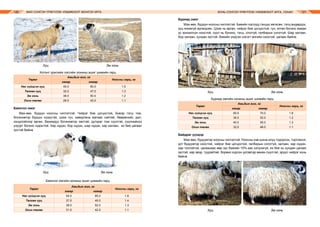 МАЛ СОНГОН ҮРЖҮҮЛЭХ УЛАМЖЛАЛТ МОНГОЛ АРГА ХОНЬ СОНГОН ҮРЖҮҮЛЭХ УЛАМЖЛАЛТ АРГА, УХААН120 121
		 Хуц			 Эм хонь
Хотонт үржлийн хэсгийн хонины ашиг шимийн гарц
Төрөл
Амьдын жин, кг
Ноосны гарц, кг
хавар намар
Нас гүйцсэн хуц 45.0 60.0 1.5
Төлгөн хуц 32.0 47.0 1.3
Эм хонь 38.0 50.0 1.2
Охин төлөг 28.0 42.0 1.1
Баянгол омог
Мах-өөх, бүдүүн ноосны чиглэлтэй. Чийрэг бие цогцостой, Биеэр тэгш том,
богиновтор бүдүүн хүзүүтэй, цээж гүн, хавирганы матаас сайтай, бөөрөнхий, дал,
хондлойгоор өргөн, бахимдуу богиновтор хөлтэй, дугираг том сүүлтэй, сүүлнийхээ
үзүүрт богино годонтой. Хар нүдэн, бор нүдэн, шар нүдэн, хар халзан, их бие цагаан
зүстэй байна.
		 Хуц		 Эм хонь
Баянгол омгийн хонины ашиг шимийн гарц
Төрөл
Амьдын жин, кг
Ноосны гарц, кг
хавар намар
Нас гүйцсэн хуц 54.0 65.0 1.6
Төлгөн хуц 37.0 45.0 1.4
Эм хонь 38.0 52.0 1.3
Охин төлөг 31.0 42.0 1.1
Буриад омог
Мах-өөх, бүдүүн ноосны чиглэлтэй. Биеийн хэсгүүд тэнцүү хөгжсөн, тэгш өндөрдүү,
ууц ялимгүй өргөгдсөн, Цээж нь өргөн, чийрэг бие цогцостой, гүн, өтгөн богино ямаан
үс зонхилсон ноостой, сүүл нь богино, тэгш, отоггүй, галбирын согоггүй. Шар халзан,
бор халзан, хундан зүстэй, биеийн үндсэн хэсэгт өнгийн ноосгүй, цагаан байна.
		 Хуц			 Эм хонь
Буриад омгийн хонины ашиг шимийн гарц
Төрөл
Амьдын жин, кг
Ноосны гарц, кг
хавар намар
Нас гүйцсэн хуц 60.0 70.0 1.8
Төлгөн хуц 35.0 52.0 1.2
Эм хонь 40.0 55.0 1.3
Охин төлөг 32.0 48.0 1.1
Байдраг үүлдэр
Мах-өөх, бүдүүвтэр ноосны чиглэлтэй. Ноосны хэв шинж илүү тодорсон, торгомсог,
урт бүдүүвтэр ноостой, чийрэг бие цогцостой, галбирын согоггүй, халзан, хар нүдэн,
хар толгойтой, цагаанаас өөр зүс биеийн 10%-иас хэтрээгүй, их бие нь хундан цагаан
зүстэй, хар эвэр, туурайтай, борвио хүрсэн уртавтар өөхөн сүүлтэй, эрүүл чийрэг хонь
байна.
		 Хуц			 Эм хонь
 