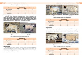 МАЛ СОНГОН ҮРЖҮҮЛЭХ УЛАМЖЛАЛТ МОНГОЛ АРГА ХОНЬ СОНГОН ҮРЖҮҮЛЭХ УЛАМЖЛАЛТ АРГА, УХААН122 123
Байрдаг үүлдрийн хонины ашиг шимийн гарц
Говь-Алтай үүлдэр
Говь-Алтай үүлдэр нь мах–өөх, бүдүүвтэр ноосны чиглэлтэй, харьцангуй бие
томтой, гарц чанар сайтай бүдүүвтэр ноостой, мах-ноосон ашиг шим тэнцүү хосолсон,
чийрэг бие цогцостой, хэвийн галбиртай, бат бэх туруутай, ясжилт сайтай, биеийн
хэсгүүд тэнцүү хөгжсөн, ихэвчлэн халзан, хар бор нүдэн, хар бараан толгойтой их
бие нь хундан цагаан зүстэй, өөхөн сүүлтэй, эрүүл чийрэг хонь байна.
		 Хуц			 Эм хонь
Говь-Алтай үүлдрийн хонины ашиг шимийн гарц
Сартуул үүлдэр
Мах-өөх, бүдүүвтэр ноосны чиглэлтэй. Зонхилох зүс хар нүдэн, халзан. Чийрэг бие
цогцос хэвийн галбиртай, хөнгөвтөр толгойтой, бат бэх туруутай, ясжилт сайтай, арьс
сулавтар, үрчлээсгүй, сэрвээ, нуруу, хондлой тэгш, биеийн хэсгүүд нь тэнцүү хөгжсөн,
цээж өргөн, гүн уртлаг биетэй, ноос урт.
Төрөл
Амьдын жин, кг
Ноосны гарц, кг
хавар намар
Нас гүйцсэн хуц
Төлгөн хуц
Эм хонь
Охин төлөг
48.0
30.0
37.0
28.0
60.0
42.0
50.0
40.0
2.0
1.8
1.7
1.5
Төрөл
Амьдын жин, кг
Ноосны гарц, кг
хавар намар
Нас гүйцсэн хуц
Төлгөн хуц
Эм хонь
Охин төлөг
53.0
32.0
38.0
30.0
68.0
48.0
53.0
42.0
2.1
1.8
1.6
1.4
		 Хуц			 Эм хонь
Сартуул үүлдрийн хонины ашиг шимийн гарц
Дархад үүлдэр
Дархад үүлдэр нь мах-өөх, бүдүүвтэр ноосны чиглэлтэй. Мах, ноос тэнцүү
хосолсон, бүдүүвтэр ноостой, ихэвчлэн эвэргүй, богиновтор нилээд зузаан дугуй өөхөн
сүүлтэй, халзан, хар нүдэн, хар шар толгойтой, их бие нь цагаан зүстэй, эрүүл чийрэг
хонь байна.
		 Хуц			 Эм хонь
Дархад үүлдрийн хонины ашиг шимийн гарц
Төрөл
Амьдын жин, кг
Ноосны гарц, кг
хавар намар
Нас гүйцсэн хуц
Төлгөн хуц
Эм хонь
Охин төлөг
50.0
32.0
38.0
29.0
65.0
45.0
50.0
40.0
2.0
1.4
1.5
1.2
Төрөл
Амьдын жин, кг
Ноосны гарц, кг
хавар намар
Нас гүйцсэн хуц
Төлгөн хуц
Эм хонь
Охин төлөг
48.0
32.0
38.0
28.0
65.0
45.0
50.0
42.0
1.8
1.3
1.5
1.2
 