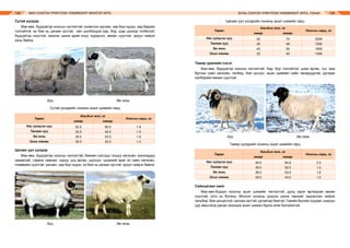 МАЛ СОНГОН ҮРЖҮҮЛЭХ УЛАМЖЛАЛТ МОНГОЛ АРГА ХОНЬ СОНГОН ҮРЖҮҮЛЭХ УЛАМЖЛАЛТ АРГА, УХААН124 125
Сутай үүлдэр
Мах-өөх, бүдүүвтэр ноосны чиглэлтэй, ихэвчлэн халзан, хар бор нүдэн, хар бараан
толгойтой, их бие нь цагаан зүстэй, хөл шилбэндээ хар, бор, шар цоохор толботой,
бүдүүвтэр ноостой, махлаг шинж арай илүү тодорсон, өөхөн сүүлтэй, эрүүл чийрэг
хонь байна.
		 Хуц			 Эм хонь
Сутай үүлдрийн хонины ашиг шимийн гарц
Цагаан уул үүлдэр
Мах-өөх, бүдүүвтэр ноосны чиглэлтэй, биеийн хэсгүүд тэнцүү хөгжсөн, монхордуу
хамартай, сэрвээ намхан, нуруу, ууц өргөн, шулуун, цээжний араг яс сайн хөгжсөн,
томөөхөн сүүлтэй, халзан, хар бор нүдэн, их бие нь цагаан зүстэй, эрүүл чийрэг байна.
		 Хуц			 Эм хонь
Цагаан уул үүлдрийн хонины ашиг шимийн гарц
Тамир үржлийн хэсэг
Мах-өөх, бүдүүвтэр ноосны чиглэлтэй. Хар, бор толгойтой, цээж өргөн, гүн, мах
булчин сайн хөгжсөн, галбир, бие цогцос, ашиг шимийн сайн чанаруудтай, дугираг
хэлбэрийн өөхөн сүүлтэй.
		 Хуц			 Эм хонь
Тамир үүлдрийн хонины ашиг шимийн гарц
Сайнцагаан омог
Мах-өөх-бүдүүн ноосны ашиг шимийн чиглэлтэй, дунд зэрэг өргөгдсөн өөхөн
сүүлтэй, отго нь богино, Монгол хонины үндсэн шинж төрхийг хадгалсан чийрэг
гальбир, бие цогцостой, халзан зүстэй, уртавтар биетэй, Говийн бүсийн хуурай, ширүүн
уур амьсгалд дасан зохицож ашиг шимээ бүрэн өгөх боломжтой.
Төрөл
Амьдын жин, кг
Ноосны гарц, кг
хавар намар
Нас гүйцсэн хуц
Төлгөн хуц
Эм хонь
Охин төлөг
52
35
42
32
72
48
54
45
2200
1500
1800
1400
Төрөл
Амьдын жин, кг
Ноосны гарц, кг
хавар намар
Нас гүйцсэн хуц
Төлгөн хуц
Эм хонь
Охин төлөг
49.0
35.0
39.0
29.0
64.0
52.0
53.0
43.0
2.0
1.2
1.6
1.2
Төрөл
Амьдын жин, кг
Ноосны гарц, кг
хавар намар
Нас гүйцсэн хуц
Төлгөн хуц
Эм хонь
Охин төлөг
52.0
33.0
39.0
30.0
65.0
45.0
53.0
42.0
1.8
1.5
1.6
1.4
 