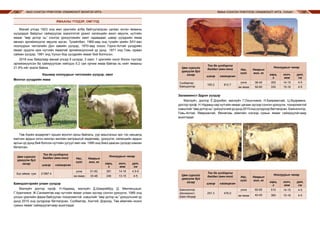 МАЛ СОНГОН ҮРЖҮҮЛЭХ УЛАМЖЛАЛТ МОНГОЛ АРГА ЯМАА СОНГОН ҮРЖҮҮЛЭХ УЛАМЖЛАЛТ АРГА, УХААН144 145
ЯМААНЫ ҮҮЛДЭР, ОМГУУД
Манай улсад 1923 онд мал үржлийн алба байгуулагдсан цагаас эхлэн ямааны
үүлдэрдэг байдлыг сайжруулах зорилготой үржил селекцийн ажил явуулж, нутгийн
ямааг “өөр дотор нь” сонгож үржүүлэхийн хамт гадаадаас цэвэр үүлдрийн ямаа
авчирч эрлийзжүүлэг явуулж ирсэн. Тухайлбал, 1960-аад онд тухайн үеийн ЗХУ-аас
ноолуурын чиглэлийн Дон хавийн үүлдэр, 1970-аад оноос Горно-Алтай үүлдрийн
ямааг оруулж ирж нутгийн ямаатай эрлийзжүүлсний үр дүнд 1971 онд Говь гурван
сайхан үүлдэр, 1991 онд Уулын бор үүлдрийн ямааг бий болгосон.
2018 оны байдлаар манай улсад 9 үүлдэр, 3 омог, 1 үржлийн хэсэг болон түүгээр
эрлийзжүүлсэн ба сайжруулсан нийтдээ 5.2 сая орчим ямаа байгаа нь нийт ямааны
21.9%-ийг эзэлж байна.
Кашмир ноолуурын чиглэлийн үүлдэр, омог
Монгол үүлдрийн ямаа
Төв Азийн өндөрлөгт орших монгол орны байгаль, уур амьсгалын эрс тэс нөхцөлд
малчин ардын олон мянган жилийн мятрашгүй хөдөлмөр, үржүүлэг, селекцийн ардын
аргын үр дүнд бий болсон нутгийн уугуул мал юм. 1990 онд биеэ даасан үүлдэр хэмээн
баталсан.
Цөм сүргийг
үржүүлж буй
газар
Тоо ба үүлдэрлэг
байдал (мян.тол) Нас,
хүйс
Намрын
жин, кг
Ноолуурын чанар
цэвэр сайжирсан
гарц,
г
голч,
мкм
урт,
см
Бүх аймаг, сум 21997.4
ухна 51-62 281 14-16 4.5-5
эм ямаа 33-48 246 13-15 4-5
Баяндэлгэрийн улаан үүлдэр
Малзүйч доктор проф. Н.Надмид, малзүйч Д.Шаарийбуу, Д. Мөнгөнцэцэг,
Г.Уранчимэг, Ж.Санжмятав нар нутгийн ямааг улаан зүсээр сонгон үржүүлж, 1985 онд
улсын үржлийн ферм байгуулан тохиромжтой хэвшлийг “өөр дотор нь” үржүүлсний үр
дүнд 2015 онд үүлдрээр батлагдсан. Сүхбаатар, Хэнтий, Дорнод, Төв аймгийн ихэнх
сумын ямааг сайжруулагчаар ашигладаг.
Залаажинст-Эдрэн үүлдэр
Малзүйч, доктор Ё.Доржбат, малзүйч Г.Оюунчимэг, Н.Баярмагнай, Ц.Идэрмөнх,
доктор проф. Н.Надмид нар нутгийн ямааг цагаан зүсээр сонгон үржүүлж, тохиромжтой
хэвшлийг“өөрдоторнь”үржүүлснийүрдүнд2015ондүүлдрээрбатлагдсан.Баянхонгор,
Говь-Алтай, Өвөрхангай, Өмнөговь аймгийн нэлээд сумын ямааг сайжруулагчаар
ашигладаг.
Цөм сүргийг
үржүүлж буй
газар
Тоо ба үүлдэрлэг
байдал (мян.тол) Нас,
хүйс
Намрын
жин, кг
Ноолуурын чанар
цэвэр сайжирсан
гарц,
г
голч,
мкм
урт,
см
Сүхбаатар
Баяндэлгэр
165.2 812.7
ухна
эм ямаа
38-45
50-60
350
330
14-15
15-16
4-5
4-5
Цөм сүргийг
үржүүлж буй
газар
Тоо ба үүлдэрлэг
байдал (мян.тол) Нас,
хүйс
Намрын
жин, кг
Ноолуурын чанар
цэвэр сайжирсан
гарц,
г
голч,
мкм
урт,
см
Баянхонгор
Шинэжинст,
Баян-Өндөр
257.3 476.0
ухна
эм ямаа
60-65
40-45
510
380
14-15
15-16
4-5
4-5
 