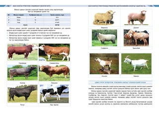 МАЛ СОНГОН ҮРЖҮҮЛЭХ УЛАМЖЛАЛТ МОНГОЛ АРГА МАЛ СОНГОН ҮРЖҮҮЛЭХЭД ҮРЖИХҮЙН БИОТЕХНИКИЙН ОЛОЛТЫГ АШИГЛАХ НЬ158 159
Малын удмын сангийн үндэсний төвийн генийн санд хадгалагдаж
буй гүн хөлдөөсөн үрийн тоо
№ Малын төрөл Үүлдрийн тоо, ш Үрийн хэмжээ, тун
1 Ямаа 4 915
2 Хонь 14 22371
3 Үхэр 9 41440
Нийт 64726
Малын удмын сангийн үндэсний төвд хадгалагдаж буй гадаадын улс орноос
оруулж ирсэн өндөр ашиг шимт үүлдрийн малын үрийн мэдээлэл.
⌘	 Өндөр ашиг шимт үхрийн 7 үүлдрийн 41,0 мянган тун гүн хөлдөөсөн үр,
⌘	 Импортоор ирсэн өндөр ашиг шимт хонины 4 үүлдрийн 800 тун гүн хөлдөөсөн үр,
⌘	 Импортоор ирсэн өндөр ашиг шимт ямааны 2 үүлдрийн 585 тун гүн хөлдөөсөн үр
тус тус хадгалагдаж байна.
Герефорд Симменталь
Алатау Лимузин
Ангус Хар тарлан
Меринос Дорсет
Суффолк Эдильбай
Альпин Заанен
ЦӨМ СҮРЭГ БҮРДҮҮЛЖ, ҮРЖЛИЙН АЖЛЫГ ЗОХИОН БАЙГУУЛАХ
Малын генетик нөөцийн тухай хуульд зааснаар тухайн үүлдэр, омгоос ашиг шимийн
хэмжээ, чанараар давуу хэсгийг сонгон үржүүлж байгаа сүрэг малыг цөм сүрэг гэнэ.
Малын удмын сангийн үндэсний төвийн харьяа Орон нутгийн цөм сүргийн салбар
нэгжүүд нь Баянхонгор, Булган, Говь-Алтай, Дорнод, Дундговь, Завхан, Өмнөговь,
Сүхбаатар, Увс, Хөвсгөл, Хэнтий зэрэг 11 аймагт тухайн бүс нутагт дасан зохицсон
үүлдэр омгоос ашиг шимийн хэмжээ, чанараар давуу хэсгийг сонгон үржүүлж цөм
сүрэг бүрдүүлэн ажиллаж байна.
Цөм сүргийн салбар нэгжийн гол зорилго нь Монгол улсад баталгаажсан үүлдэр
омгийн малыг уугуул орчинд нь хадгалах хамгаалах сайжруулах түүгээр дамжуулан
 