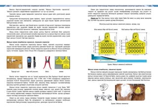 МАЛ СОНГОН ҮРЖҮҮЛЭХ УЛАМЖЛАЛТ МОНГОЛ АРГА МАЛ СОНГОН ҮРЖҮҮЛЭХЭД ҮРЖИХҮЙН БИОТЕХНИКИЙН ОЛОЛТЫГ АШИГЛАХ НЬ164 165
Малын бүртгэл,мэдээллийн нэгдсэн сангаас “Малын бүртгэлийн гэрчилгээ”,
“Малын шилжилт, хөдөлгөөний тодорхойлолт”-ыг тус тус олгоно.
Үржлийн малын удам гарвалийн гэрчилгээг малын удам зүйн үнэлгээний цахим
системээс олгоно.
Үржүүлгийн бүтээгдэхүүнд удам гарваль, гарал үүслийн тодорхойлолтыг малын
үндэсний генийн санг хамгаалах, сайжруулах чиг үүрэг бүхий төрийн үйлчилгээний
байгууллагаас олгоно.
Мал өмчлөгч, малчин, мал бүхий иргэн, хуулийн этгээд хүсэлт гаргасан тохиолдолд
харьяаллын сум, дүүргийн Хөдөө аж ахуйн тасгийн мэдээллийн сангаас малын
бүртгэлтэй холбоотой гэрчилгээ, лавлагаа, тодорхойлолтыг өгнө.
Малд ялган тэмдэглэгээ хийж анхан шатны бүртгэл хөтөлсөн Мал үржүүлэг,
технологийн ажил, үйлчилгээний нэгжийн мэргэжилтэн нь малын бүртгэл хийсэн тухай
мэдээллийг харъяалах сум, дүүргийн Хөдөө аж ахуйн тасгийн мэдээллийн санд тухай
бүрт ажлын 5 хоногт багтаан ирүүлнэ.
Малын ялган тэмдэглэх хэрэгсэл, түүнийг хэрэглэх
Малыг ялган тэмдэглэх хэрэгсэлд малын төрөл, зүйлийн онцлогоос хамаарч
кодын систем бүхий ээмэг, радио долгионы давтамж бүхий чип, тэдгээрийг дагалдах
хэрэгслийг хамааруулж ойлгоно. Ялган тэмдэглэх хэрэгсэл нь Монгол Улсын холбогдох
хууль тогтоомж, журам, Олон Улсын ISO стандартын шаардлагыг хангасан байна.
Тариур чип	 вар код уншигч 	 бахь	 ээмэг
Малыг ялган тэмдэглэх чип нь тусгай зориулалтын био бүрхүүл бүхий ариутган
битүүмжилж, тариурт байршуулсан, ISO 11784, ISO 11785 стандартын шаардлагыг
хангасан FDX-B технологитой, радио долгионы давтамжийг ойроос болон холоос
мэдээлэх боломжтой байна. Чипийг мал, амьтаны биед тариурын тусламжтайгаар
арьсанд суулгаж дугаарыг уншигчаар уншуулж шалгана.
Малын ялган тэмдэглэх хэрэгсэлд улсын нэрийн товчилсон 2 үсэг буюу “MN”
хамгийн дээд эгнээнд, дараагийн эгнээнд аймаг, нийслэл, сум, дүүрэг, баг, хорооны
6 орон болон тухайн төрлийн малын хувийн дугаарыг заасан 6 орон нийт 12 оронтой
тоог энэхүү дарааллаар лазерын технологиор арилахааргүй бичиж, эдгээр дугаарыг
кодын системд шилжүүлэн хэвлэсэн байна.
Ээмэг нь уян хатан, гадны нөлөөнд тэсвэртэй, өндөр чанарын нийлэг хуванцар
материалаар хийгдсэн байх ба үйлдвэрлэгч нь материалын чанарыг холбогдох
мэргэжлийн байгууллагаар тодорхойлуулсан, дагалдах гэрчилгээтэй байна.
Ээмэг дэх тэмдэглэгээг лазер технологиор, арилахааргүй хэвлэх ба хэвлэмэл
тэмдэгт нь зураасан код унших тусгай төхөөрөмжөөр уншигддаг, код уншигч нь
ялган тэмдэглэх хэрэгсэлд бичигдсэн дугаарыг нэгдсэн программд хувирган унших,
дамжуулах чадвартай байна.
Ээмэг нь бог, бод малын гэсэн хоёр төрөл байх ба ээмэг нь дээр засаг захиргаа
бүс нутгийн код малын хувийн дугаар бичигдэнэ.
Монголд ашиглах малын ээмэгний хэмжээ, загвар, код
Зураг. Малын ээмэгний мэдээлэл
Малыг ялган тэмдэглэх, ээмэглэх тухай
Малын генетик нөөцийн асуудал хариуцсан төрийн захиаргааны төв байгууллагаас
батлагдсан журмын дагуу зөвшөөрөгдсөн ээмгийг ашиглана. Малыг зөв ээмэглэснээр
малын чихэнд ээмэг тогтвортой байж, ээмгэн дээрх тоо, цифрийг ашиглах тухайн малд
явуулах малын үржил-селекци, мал эмнэлгийн арга хэмжээг төлөвлөх, хэрэгжүүлэх,
мал, малын гаралтай бүтээгдэхүүний гарал үүслийг тогтоох боломжийг бий болгоно.
		
Зураг. Малыг ээмэглэх
Бод малын бар код бүхий ээмэгБог малын бар код бүхий ээмэг
 