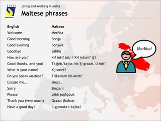 Living and Working in Malta
Maltese phrases
English Maltese
Welcome Merħba
Good morning Bonġu
Good evening Bonswa
Goodbye Saħħa
How are you? Kif inti? (m) / Kif intom? (f)
Good thanks, and you? Tajjeb/tajba (m/f) grazzi. U inti?
What is your name? X'jismek?
Do you speak Maltese? Titkellem bil-Malti?
Excuse me… Skużi…
Sorry Skużani
Please Jekk jogħġbok
Thank you (very much) Grazzi (ħafna)
Have a good day! Il-gurnata t-tajba!
Merħba!
 