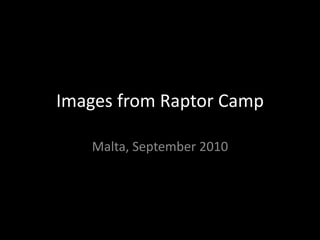 Images from Raptor Camp Malta, September 2010 